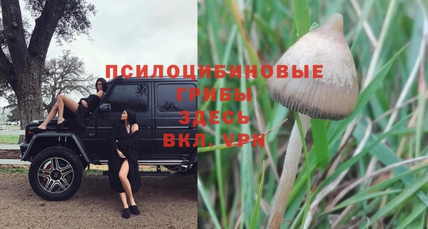а пвп мука Кулебаки