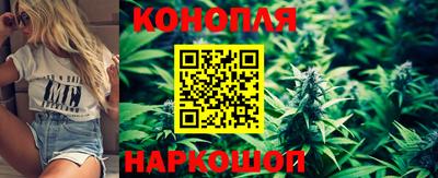 тгк Можга