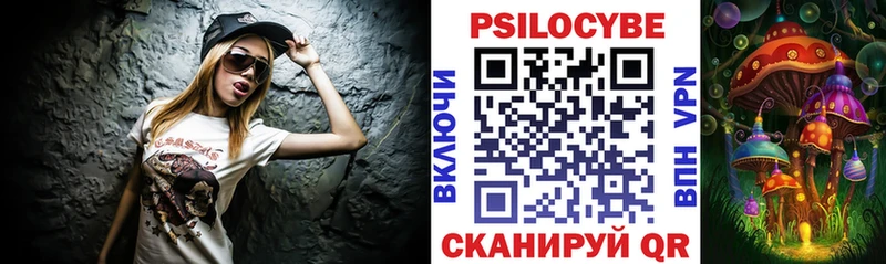 купить наркотик  ссылка на мегу ССЫЛКА  Псилоцибиновые грибы Psilocybine cubensis  Медногорск 