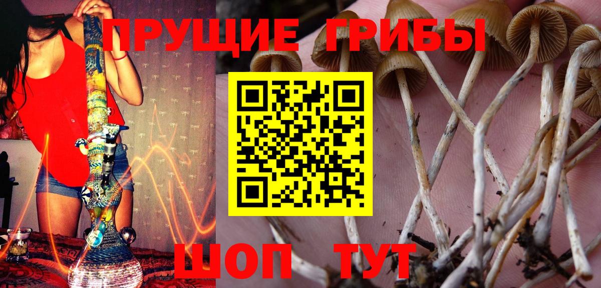 Галлюциногенные грибы GOLDEN TEACHER  Вход с VPN  Медногорск 